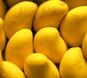 Facts about mangoes